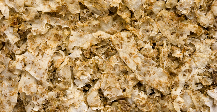 Beige Carbs