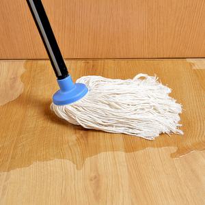 Mop