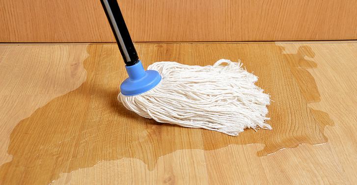 Mop