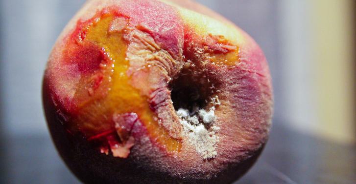 Peach