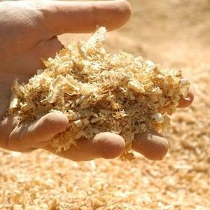 Sawdust