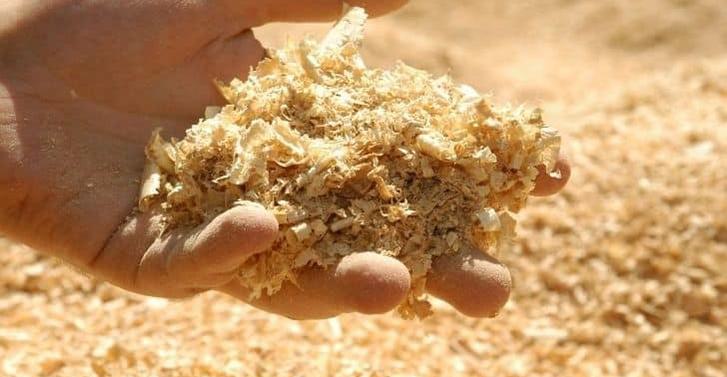 Sawdust