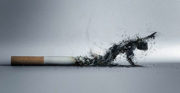 Smoke Smoke