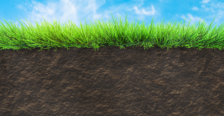 Soil