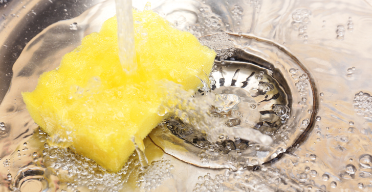 Sponge
