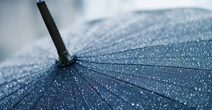 Umbrella Rain